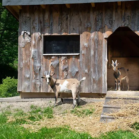 Апартаменты Schuette Muehle Шмалленберг