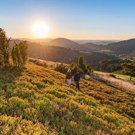 Schuette Muehle Шмалленберг