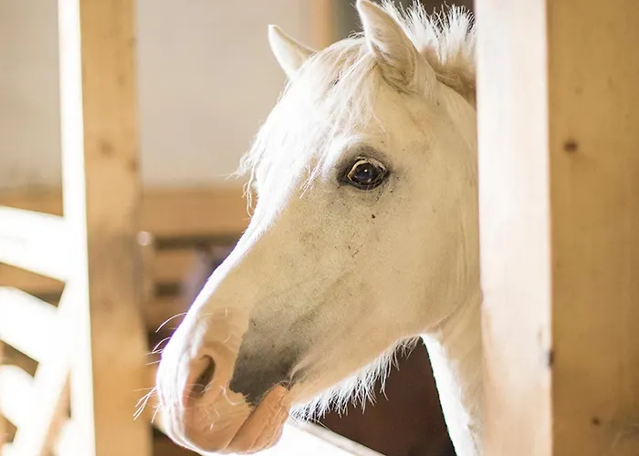Schuette Muehle Lägenhet