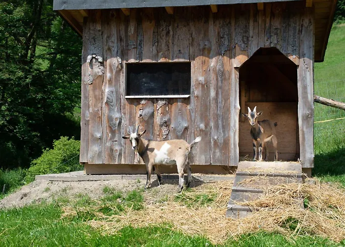 Lägenhet Schuette Muehle Schmallenberg