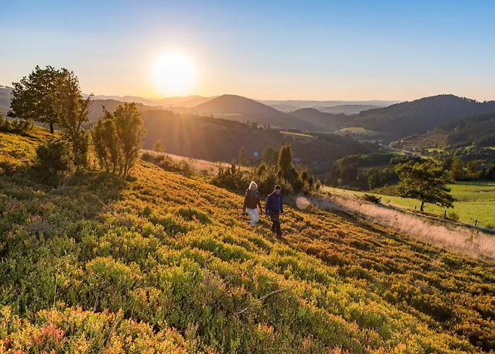 Schuette Muehle Schmallenberg